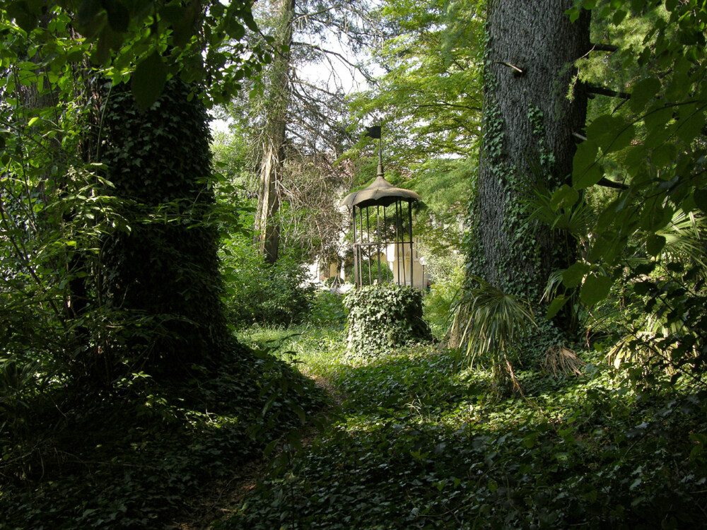 Into the Woods - © GALERIE DES GALERIES
