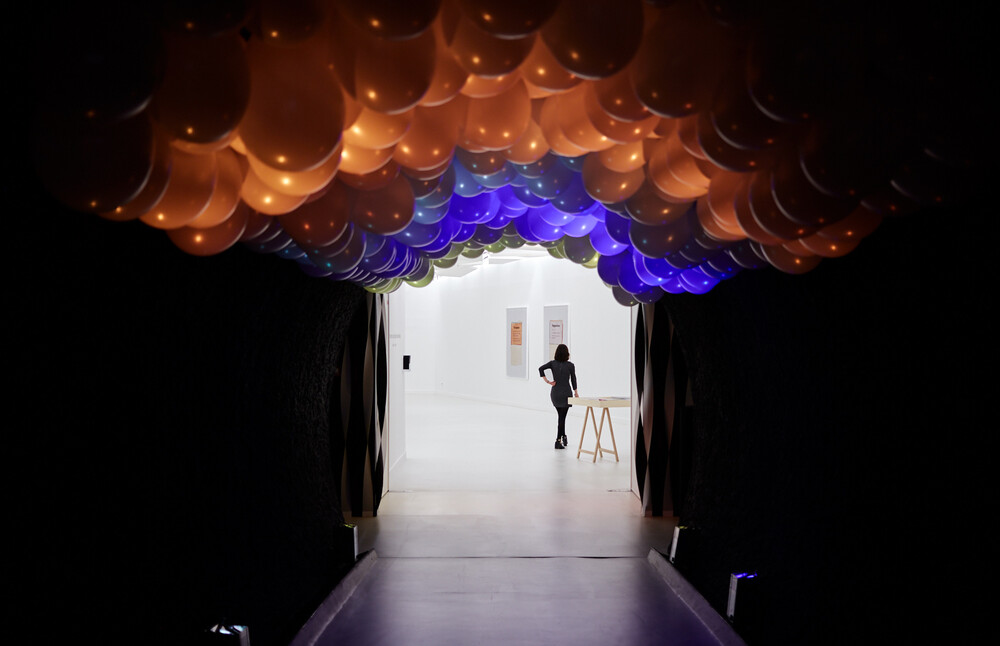 Expositions - © GALERIE DES GALERIES