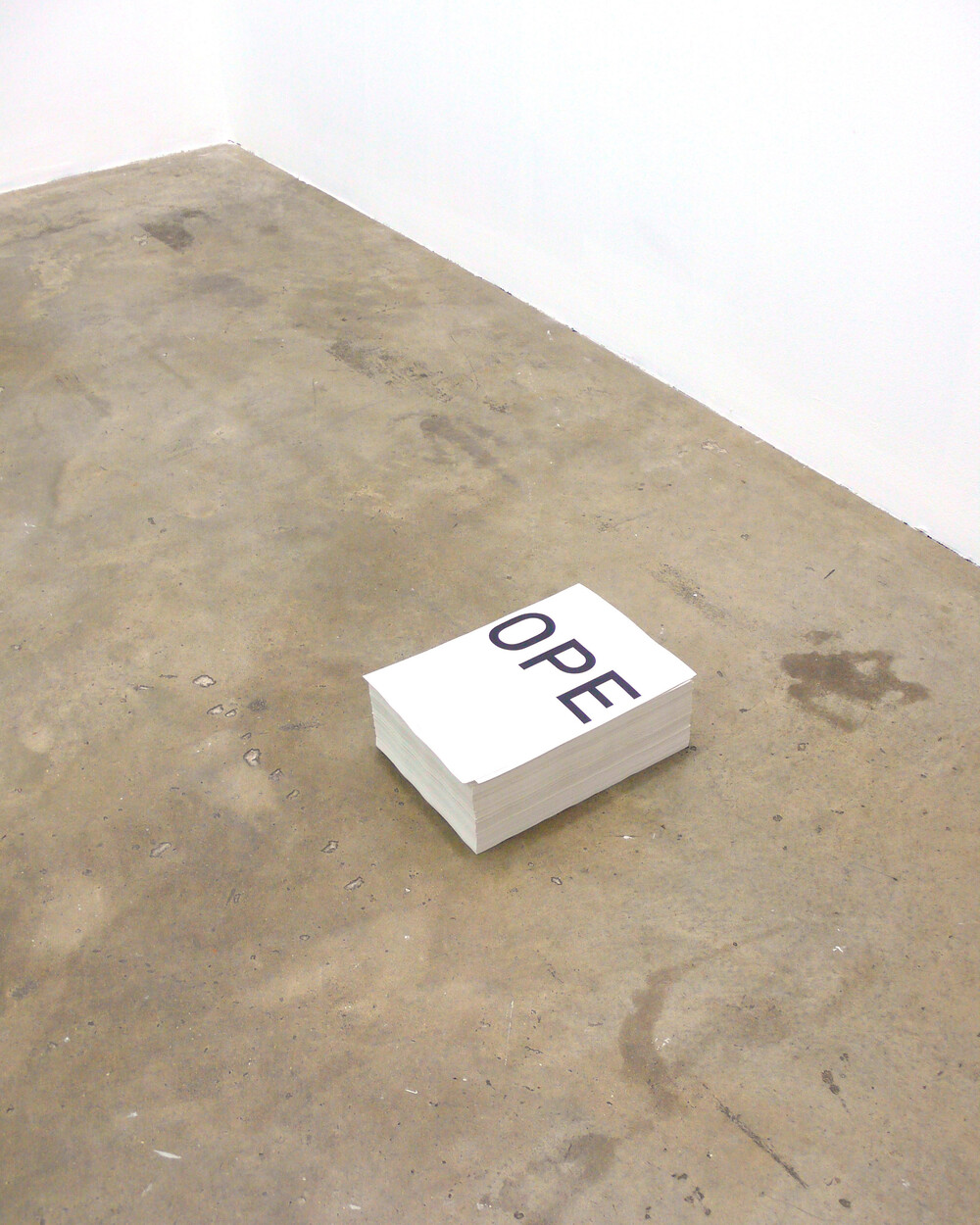 Pierre-Olivier Arnaud - © Galerie des Galeries